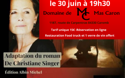 Affiche Histoire dAmes ARTEVINO – Histoire d’âme de Christiane SINGER