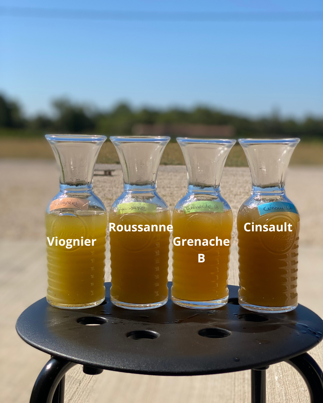 4 flacons avec les jus de raisin de chauqe cépage du mariage blanc : viognier, Roussanne, grenache Blanc et le cinsault du rosé pilavoine
