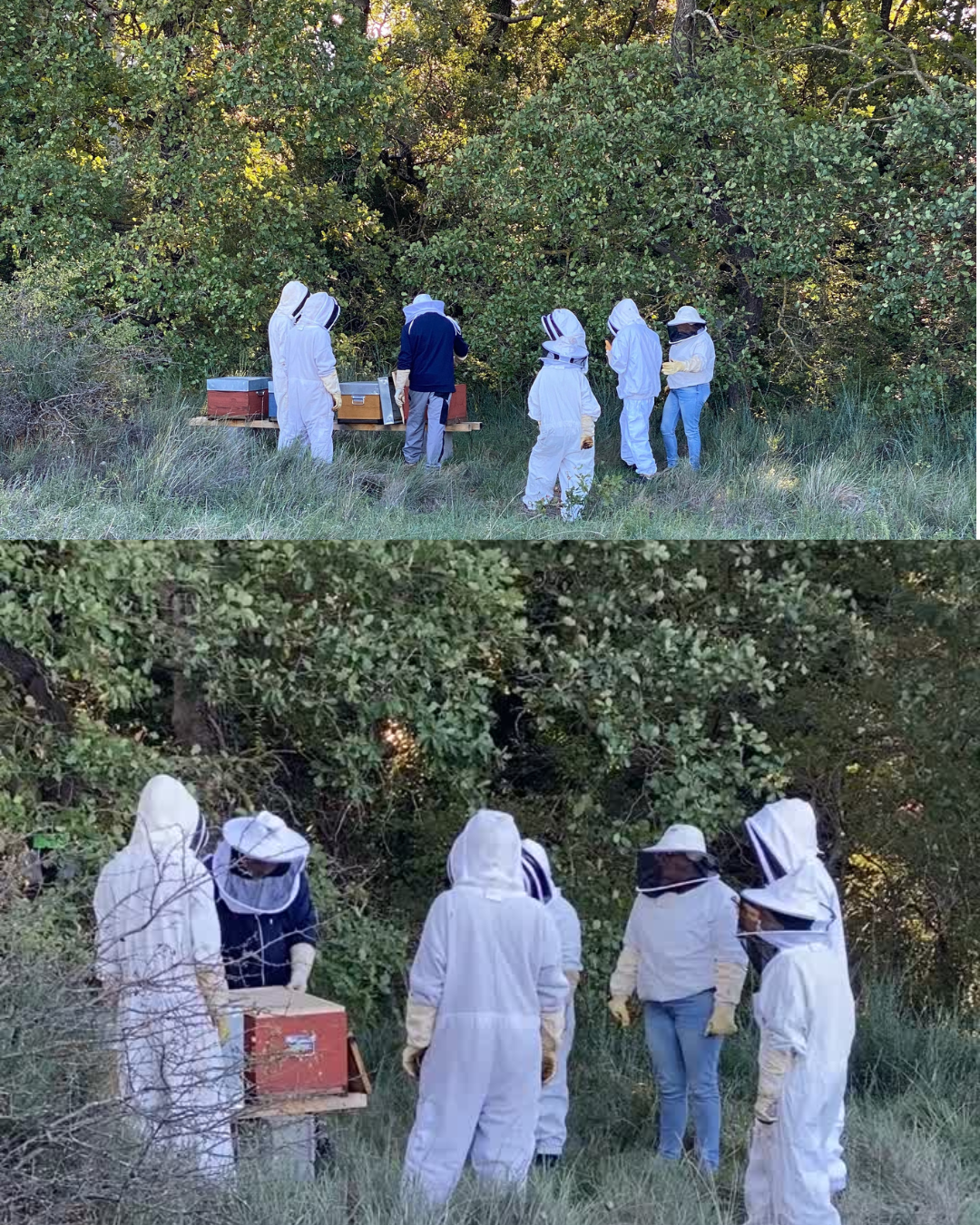 groupe de jeunes avec l'apiculteur en tenues de protection autour des ruches